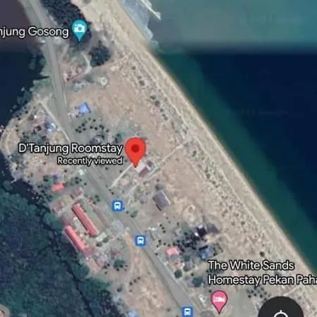 D' Tanjung Homestay-Orked Pekan Exterior photo